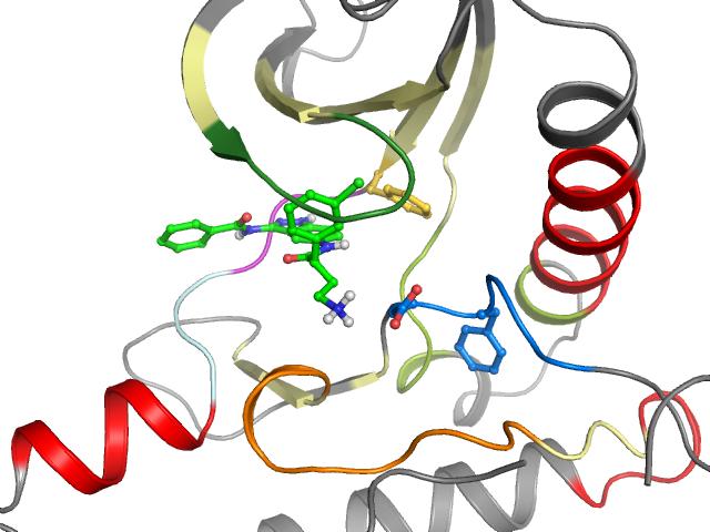 The orthosteric binding pocket