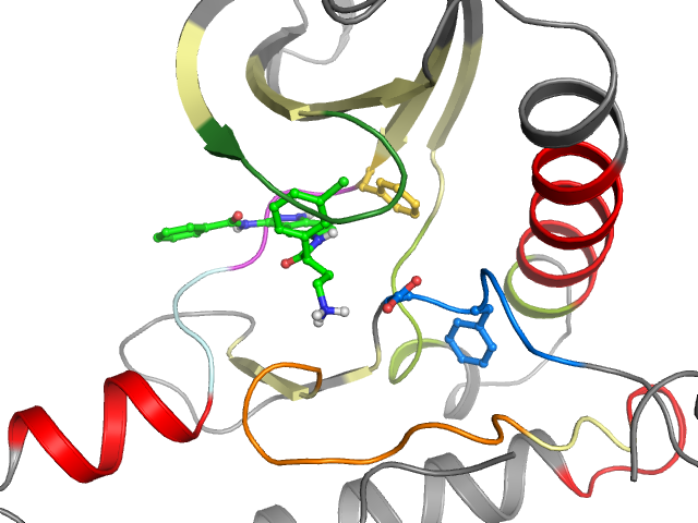 The orthosteric binding pocket
