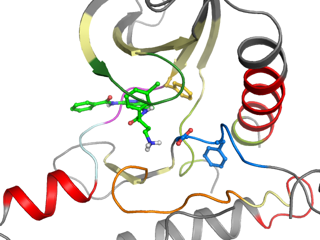 The orthosteric binding pocket