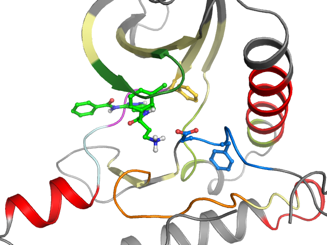 The orthosteric binding pocket