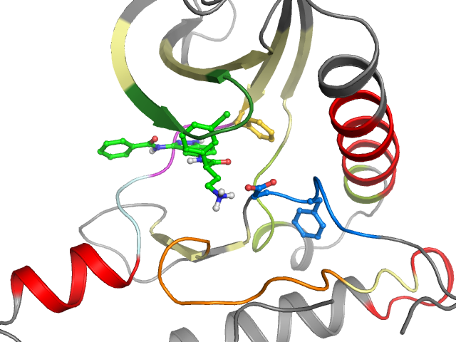 The orthosteric binding pocket