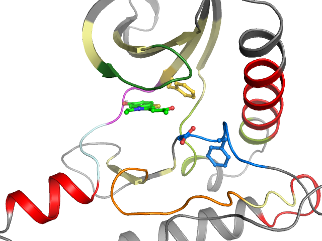 The orthosteric binding pocket