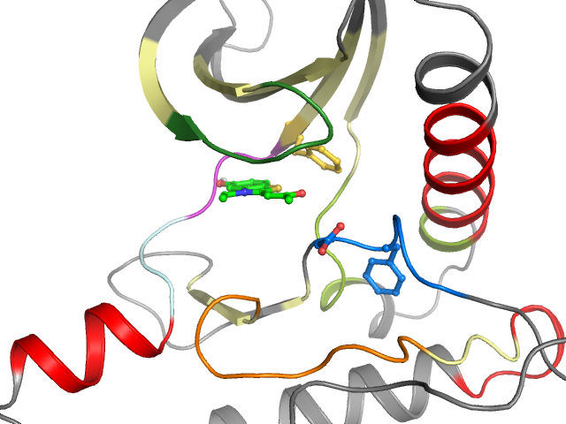 The orthosteric binding pocket