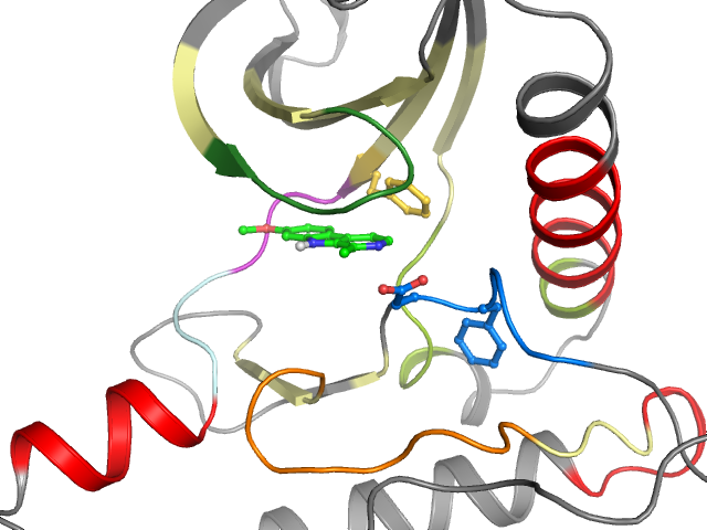 The orthosteric binding pocket