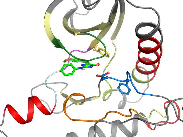 The orthosteric binding pocket