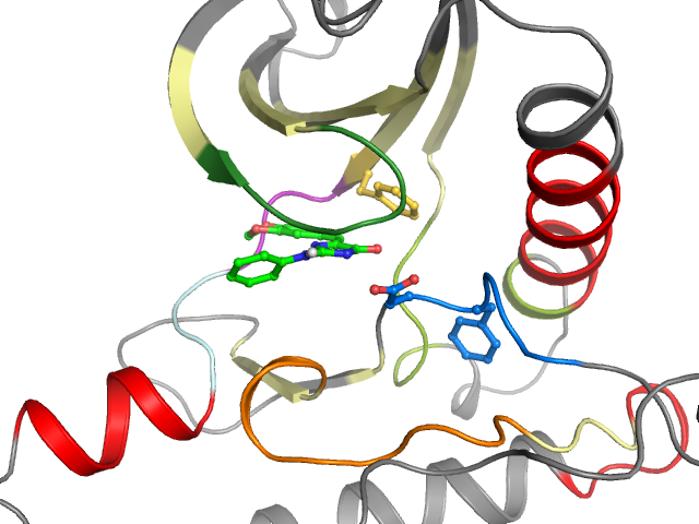 The orthosteric binding pocket