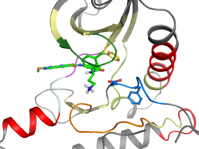 The orthosteric binding pocket