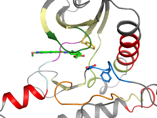 The orthosteric binding pocket