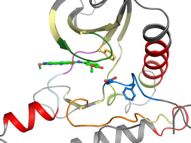 The orthosteric binding pocket