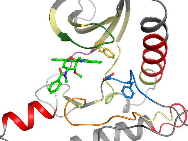 The orthosteric binding pocket