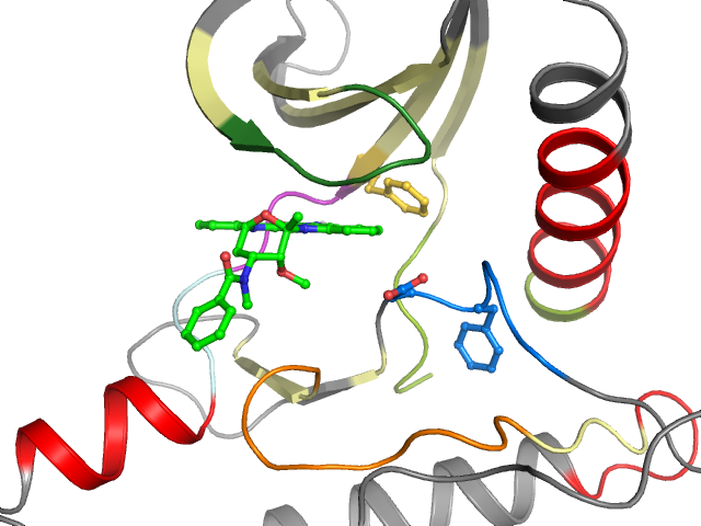 The orthosteric binding pocket