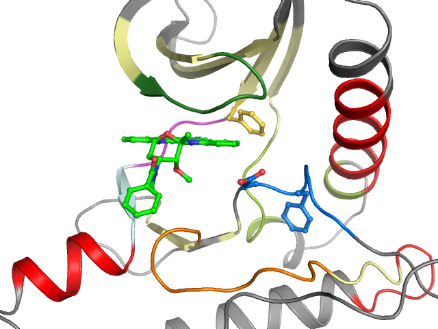 The orthosteric binding pocket
