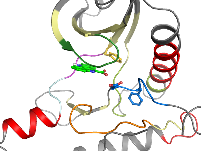 The orthosteric binding pocket