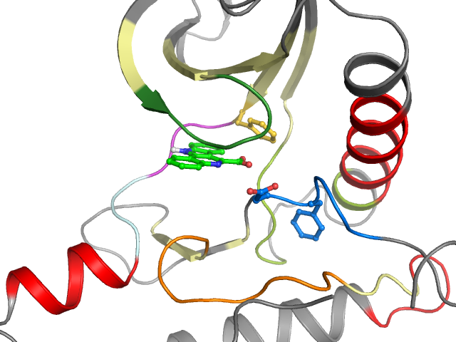 The orthosteric binding pocket