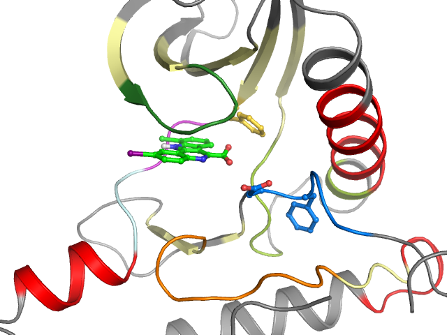 The orthosteric binding pocket
