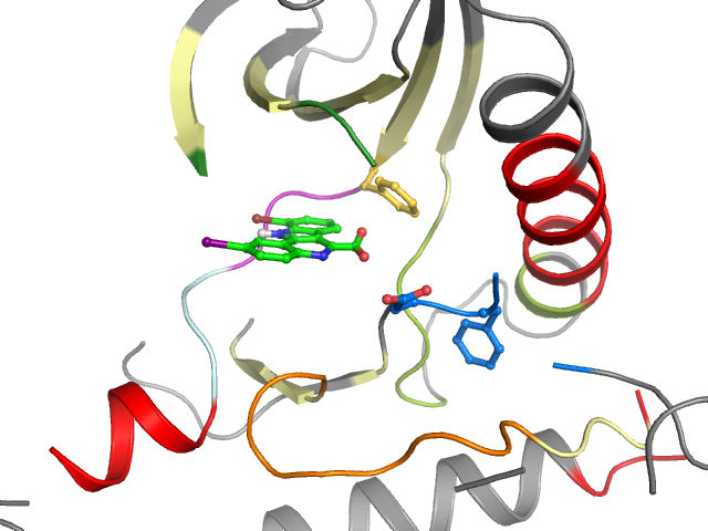 The orthosteric binding pocket
