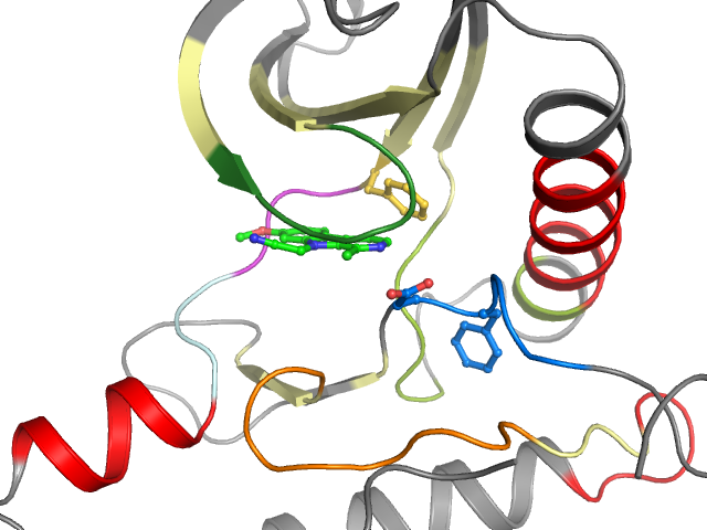 The orthosteric binding pocket