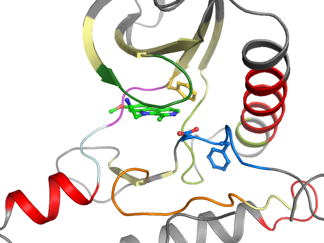 The orthosteric binding pocket
