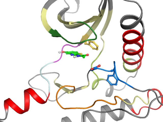 The orthosteric binding pocket
