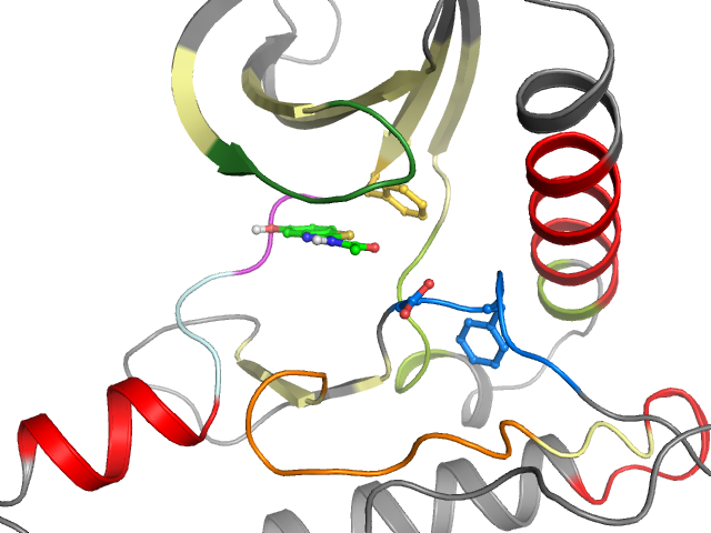 The orthosteric binding pocket