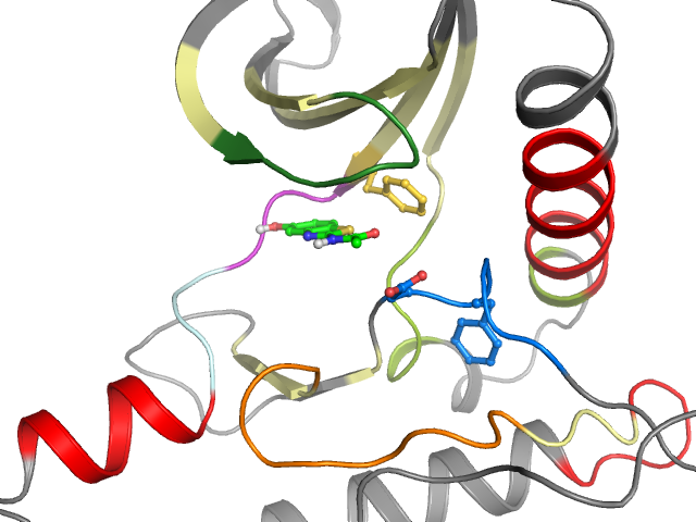 The orthosteric binding pocket