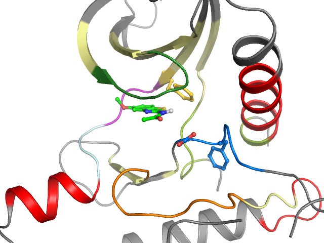 The orthosteric binding pocket