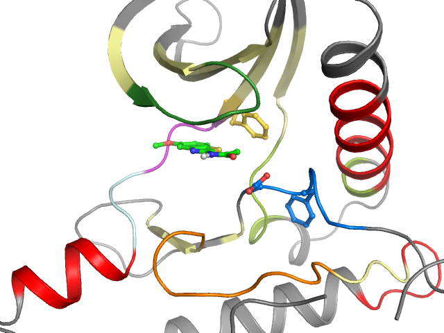 The orthosteric binding pocket