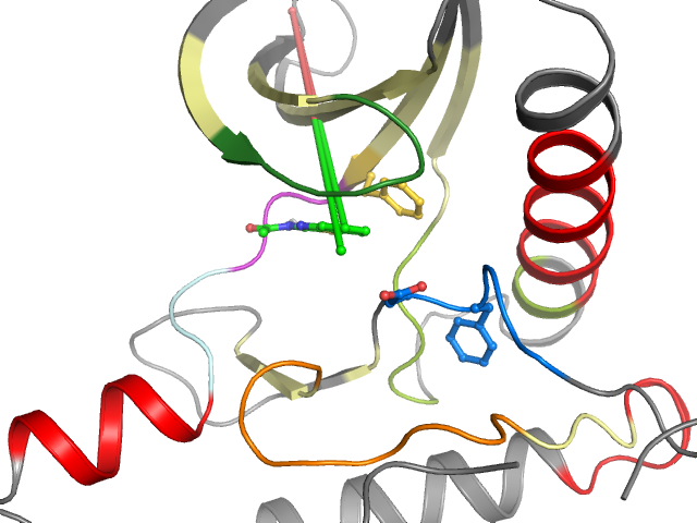 The orthosteric binding pocket