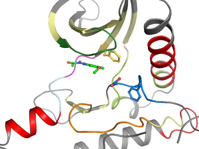 The orthosteric binding pocket