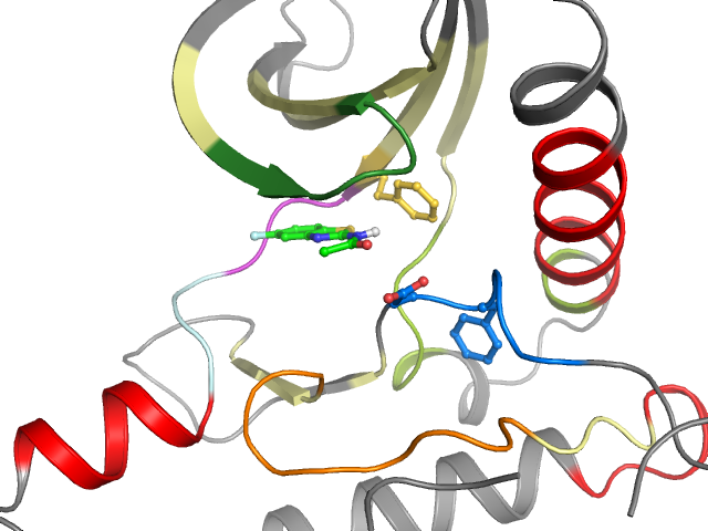 The orthosteric binding pocket