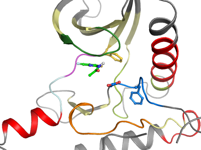 The orthosteric binding pocket