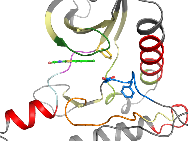 The orthosteric binding pocket