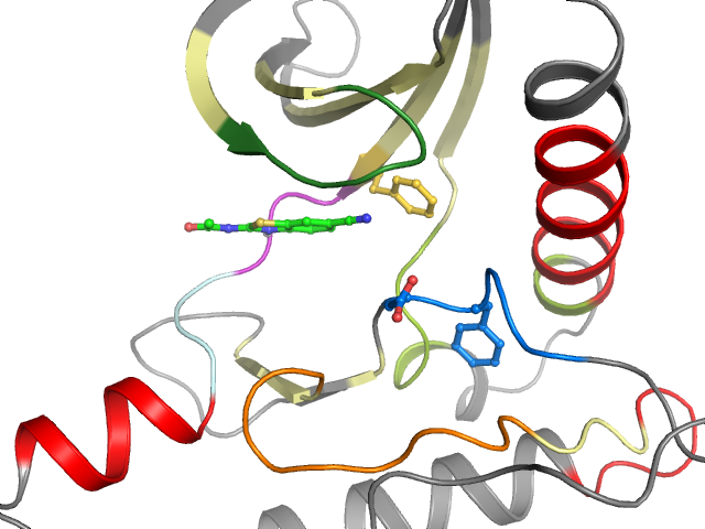 The orthosteric binding pocket