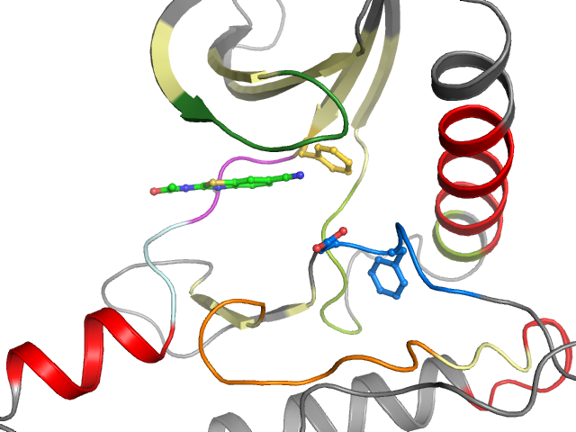 The orthosteric binding pocket