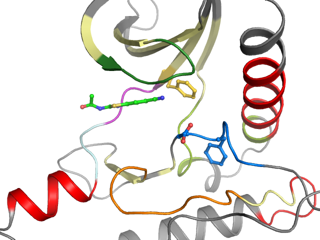 The orthosteric binding pocket