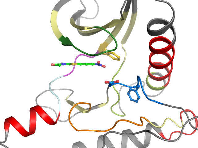 The orthosteric binding pocket