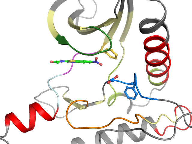 The orthosteric binding pocket