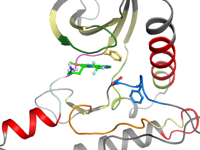 The orthosteric binding pocket