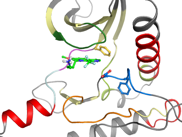The orthosteric binding pocket