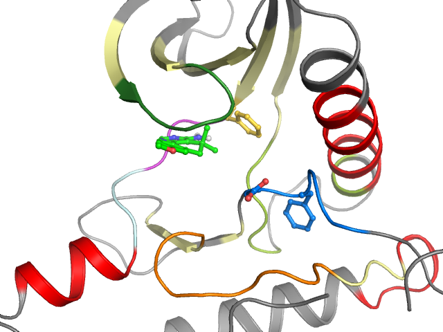 The orthosteric binding pocket