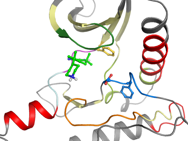 The orthosteric binding pocket