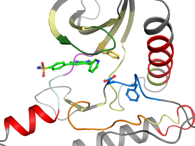 The orthosteric binding pocket