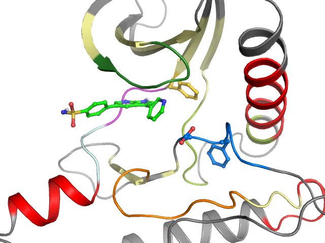 The orthosteric binding pocket