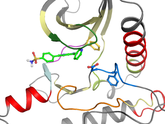 The orthosteric binding pocket