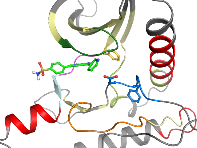The orthosteric binding pocket