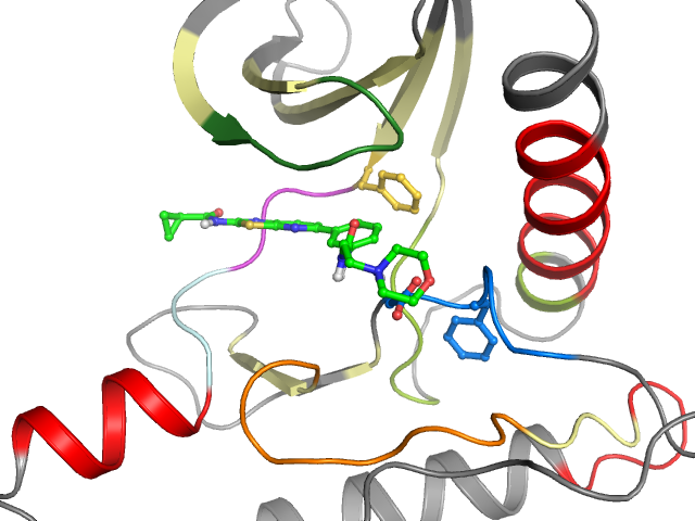 The orthosteric binding pocket