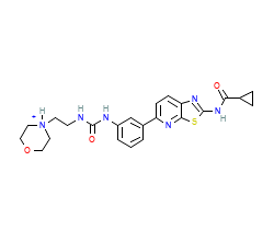 2D structure of the orthosteric ligand