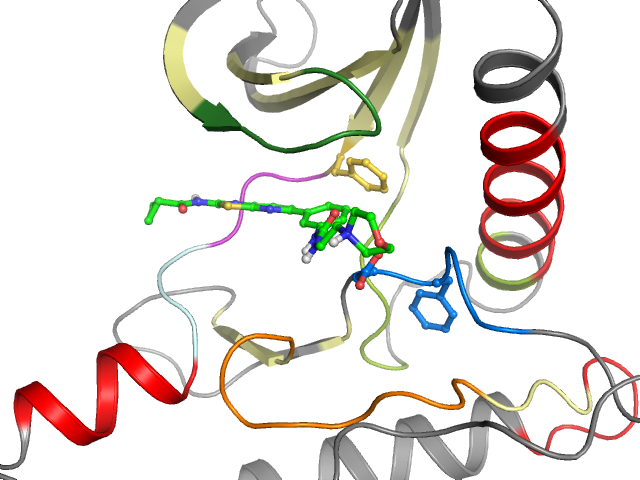 The orthosteric binding pocket