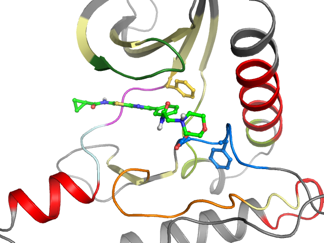 The orthosteric binding pocket