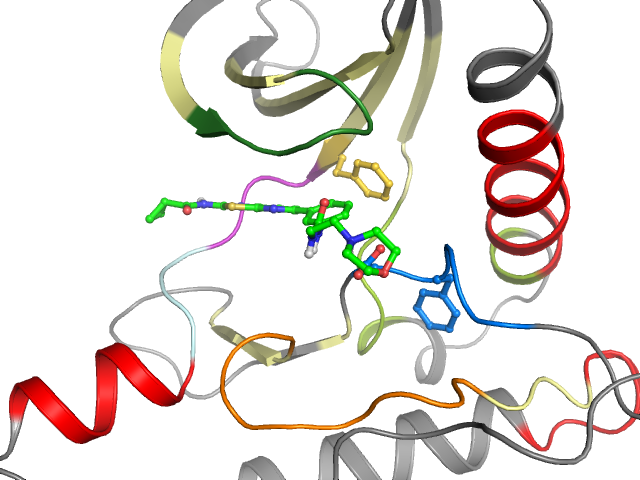 The orthosteric binding pocket